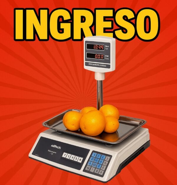 Balanza Comercial hasta 30 kilos x 5 gramos Modelo E2030 Eiffel - Imagen 2